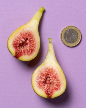 Figs-size-and-internal.jpg